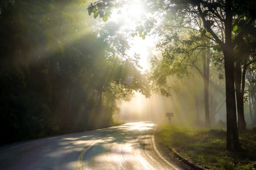 Fog in morning sunshine on the road alone.