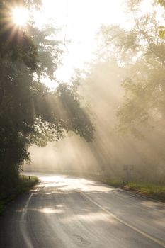 Fog in morning sunshine on the road alone.