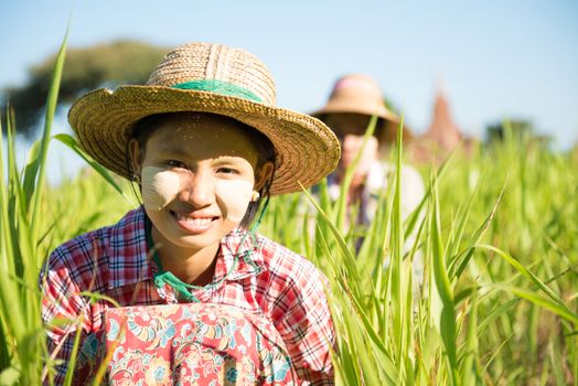 Portrait of a Myanmar female farmer with thanaka powdered face harvesting in field.