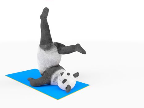 Stand on the shoulders. Cute panda doing yoga postures and asanas. render computer generated illustration about healthy lifestyle and sport development.