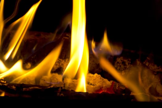 Photo of red fire flame on black background