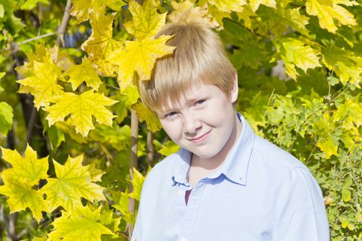 Cute blond boy in autumn yellow forest