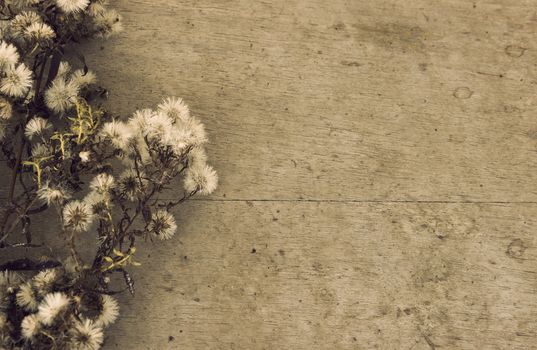 Dried wild flowers on the old wooden background