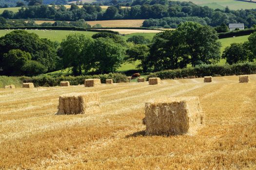 Pastoral scene.
Summer in England .The corn is gathered in and the balesof hay are made.