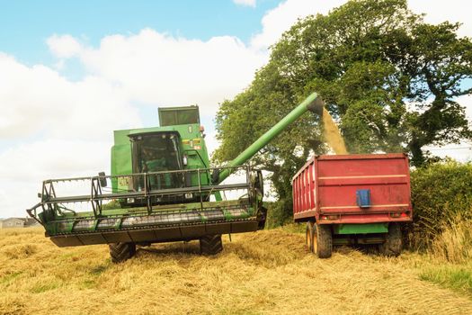 Threshing machine.
Summer in England .The corn is gathered in and the bales of hay are made.