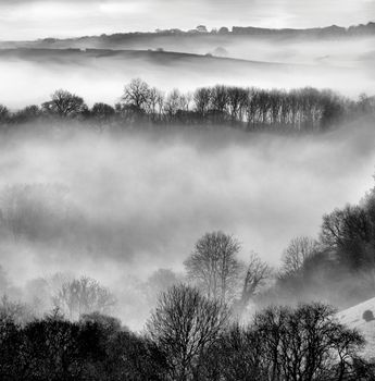 Morning Mist.

The mist rising over Looe valley ona spring morning. Cornwall UK.