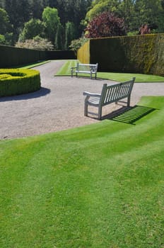 Beautiful hedge and  lawn in a formal English style garden. Taken at RHS Rosemoor, Torrington, North Devon, England