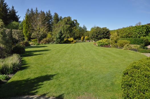 Beautiful lawn in an English style garden. Taken at RHS Rosemoor, Torrington, North Devon, England