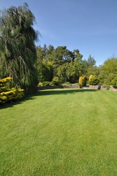 Beautiful lawn in an English style garden. Taken at RHS Rosemoor, Torrington, North Devon, England