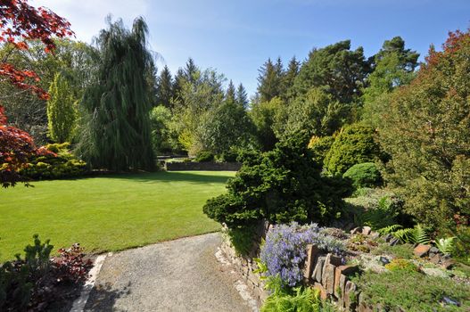 Beautiful lawn in an English style garden. Taken at RHS Rosemoor, Torrington, North Devon, England