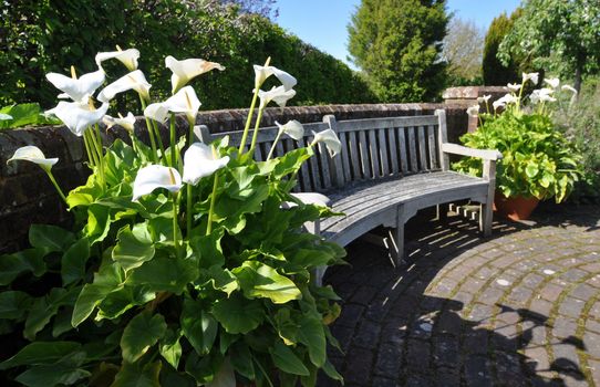 Garden furniture an English style garden. Taken at RHS Rosemoor, Torrington, North Devon, England