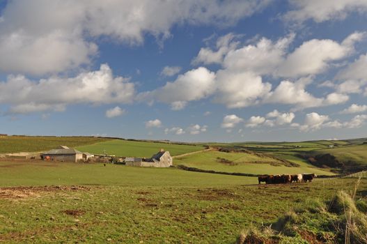 Croydehoe Farm on the clifftop at Baggy Point, Croyde, North Devon, England. The image is taken from the public footpath from Croyde village to Baggy Point, the view is familiar to all who walk this popular part of the Southwest Coast Path.