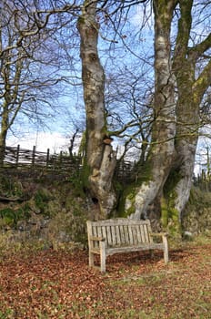 This weathered wooden bench is on the verge next to the village of Belstone, Dartmoor, Devon, England