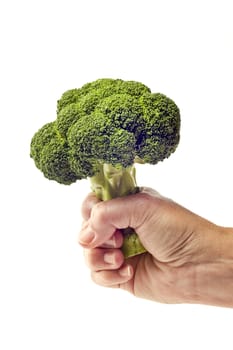 Hand holding fresh broccoli on white background