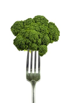 Vertical shot of fresh broccoli on fork.  Isolated on white background