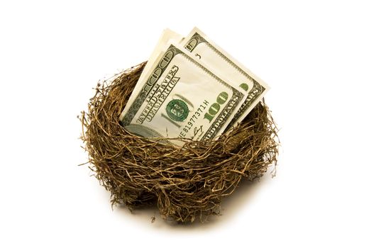 Money put away in nest for retirement.