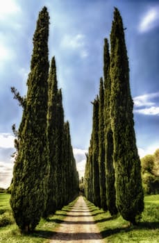An endless cypress alley at Villa Adriana (Hadrian's Villa), Tivoli, Italy