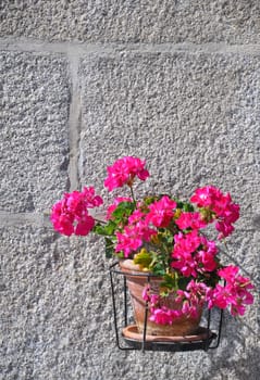 A pretty basket of pink flowers set against aan old stone house