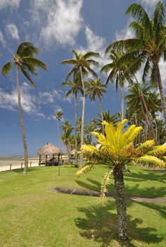 The tranquil beaches of the  South Pacific Ocean really are paradise found. This thatched beach hut overlooks the Coral Coast on the island of Viti Levu (Fiji)