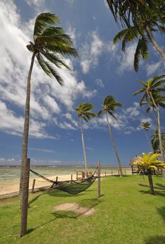 The tranquil beaches of the  South Pacific Ocean really are paradise found. This hammock offers the perfect resting place overlooking the Coral Coast on the island of Viti Levu (Fiji)