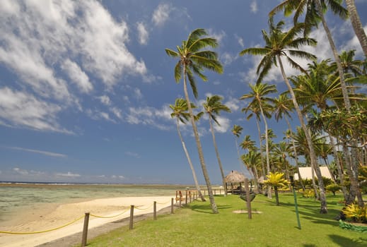The tranquil beaches of the  South Pacific Ocean really are paradise found. This garden overlooks the Coral Coast on the island of Viti Levu (Fiji)