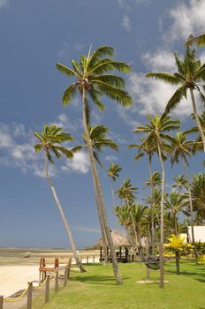 The tranquil beaches of the  South Pacific Ocean really are paradise found. This garden overlooks the Coral Coast on the island of Viti Levu (Fiji)