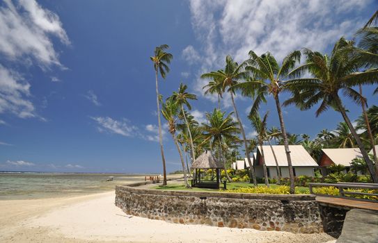 The tranquil beaches of the  South Pacific Ocean really are paradise found. This garden overlooks the Coral Coast on the island of Viti Levu (Fiji)