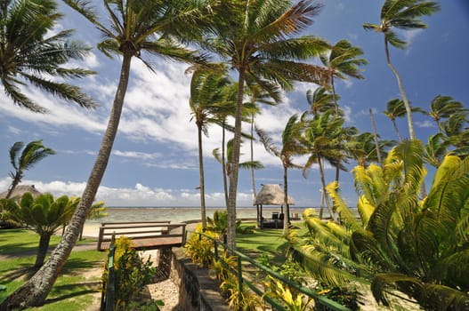 The tranquil beaches of the  South Pacific Ocean really are paradise found. This garden overlooks the Coral Coast on the island of Viti Levu (Fiji)