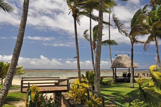 The tranquil beaches of the  South Pacific Ocean really are paradise found. This garden overlooks the Coral Coast on the island of Viti Levu (Fiji)