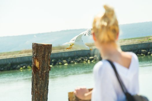 Woman watching seagull in salina. Summertime feeling.