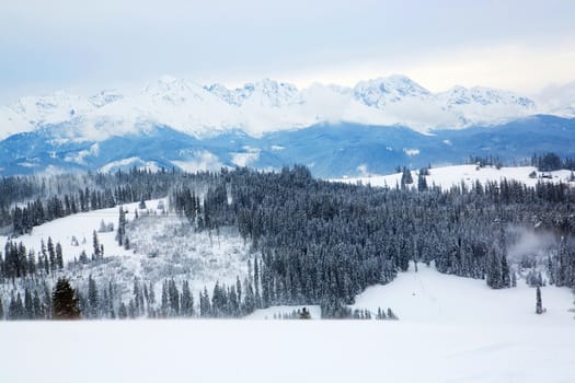 Winter in the mountains in Poland