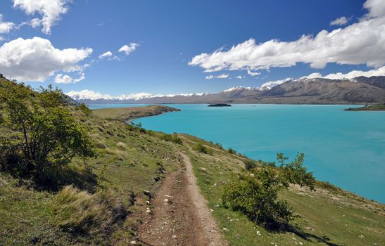 Lake Tepako seen from the lakeside track from Mount John, at this point about 2 miles north of Lake Tepako village