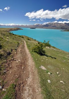 Lake Tepako seen from the lakeside track from Mount John, at this point about 2 miles north of Lake Tepako village