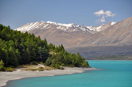 Lake Tepako shoreline seen from the head of the lake near Lake Tepako village, New Zealand