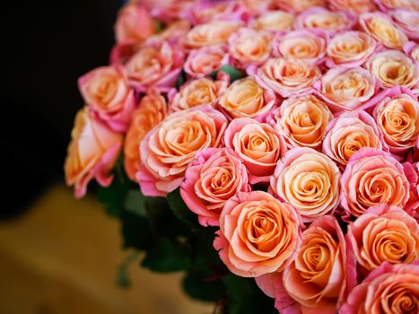 a lot of beautiful orange roses. Shallow DOF