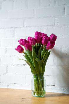 beautiful pink tulips on white background in glass