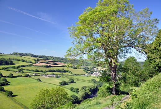 The view from Castle Hill, Torrington, in North Devon, England, overlooks the deep ravine of the River Torridge ( The home of Tarka the Otter ). The village of Taddiport can be seen in the distance.