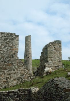 Images of old and non operating mines and their buildings on Caradon.