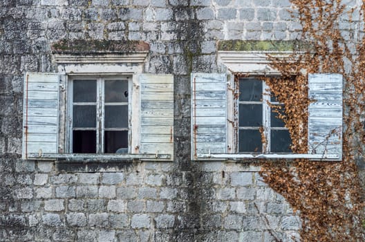 Old  windows on abandoned house covered with ivy