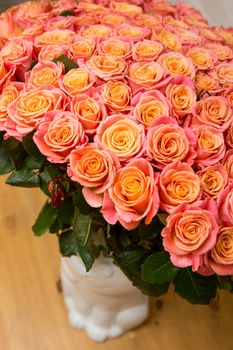 a lot of beautiful orange roses. Shallow DOF