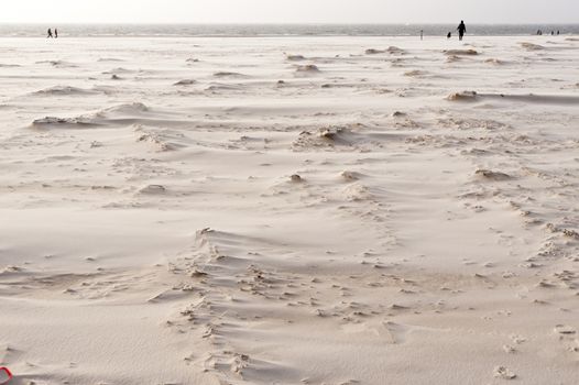 Beach of Amrum in Germany