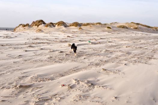 Beach of Amrum in Germany