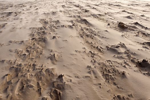 Beach of Amrum in Germany