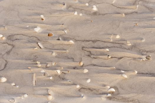 Beach of Amrum in Germany