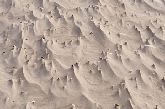 Beach of Amrum in Germany