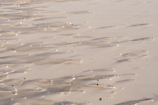 Beach of Amrum in Germany