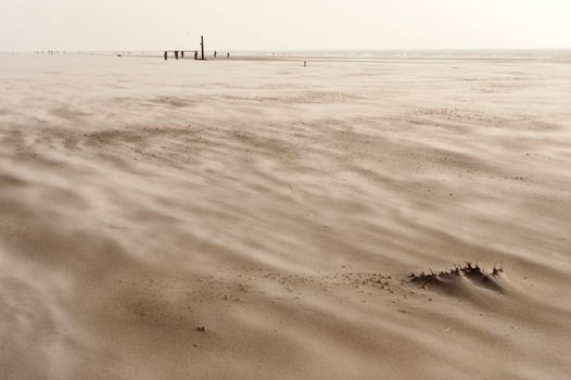 Beach of Amrum in Germany