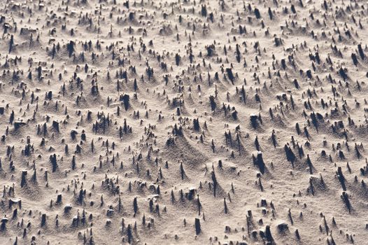 Beach of Amrum in Germany