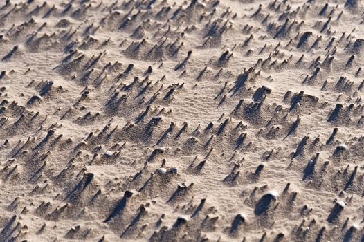 Beach of Amrum in Germany