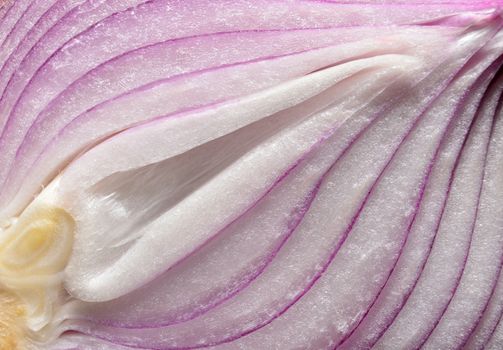 Raw red fresh cut onion macro texture